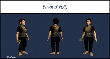 Bunch of Holly