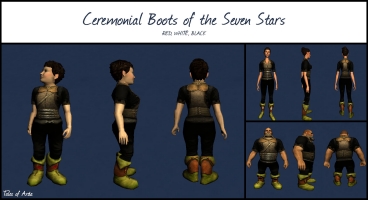 Ceremonial Boots of the Seven Stars