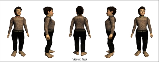 Ceremonial Chainmail Jacket of Bree