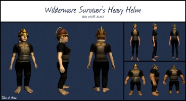 Wildermore Survivor's Heavy Helm