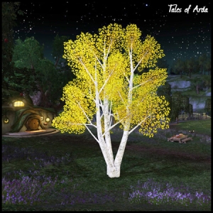 Birch Tree