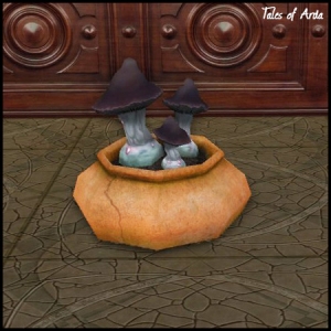 Black Mushroom Pot