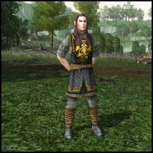 Elf Male Property Guard
