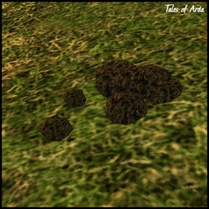 Fine Boar-droppings