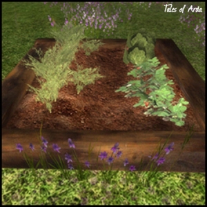 Herb Garden