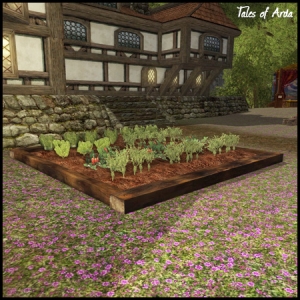 Large Vegetable Garden