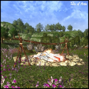 Modest Cookfire