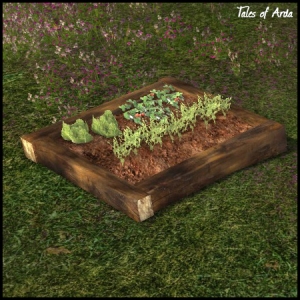 Small Vegetable Garden