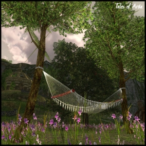 Summer Hammock