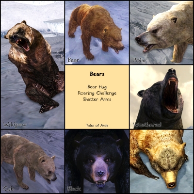 Bears