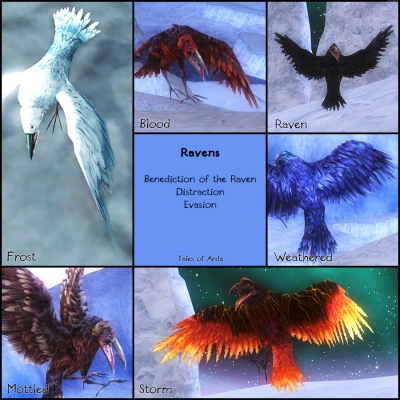 Ravens